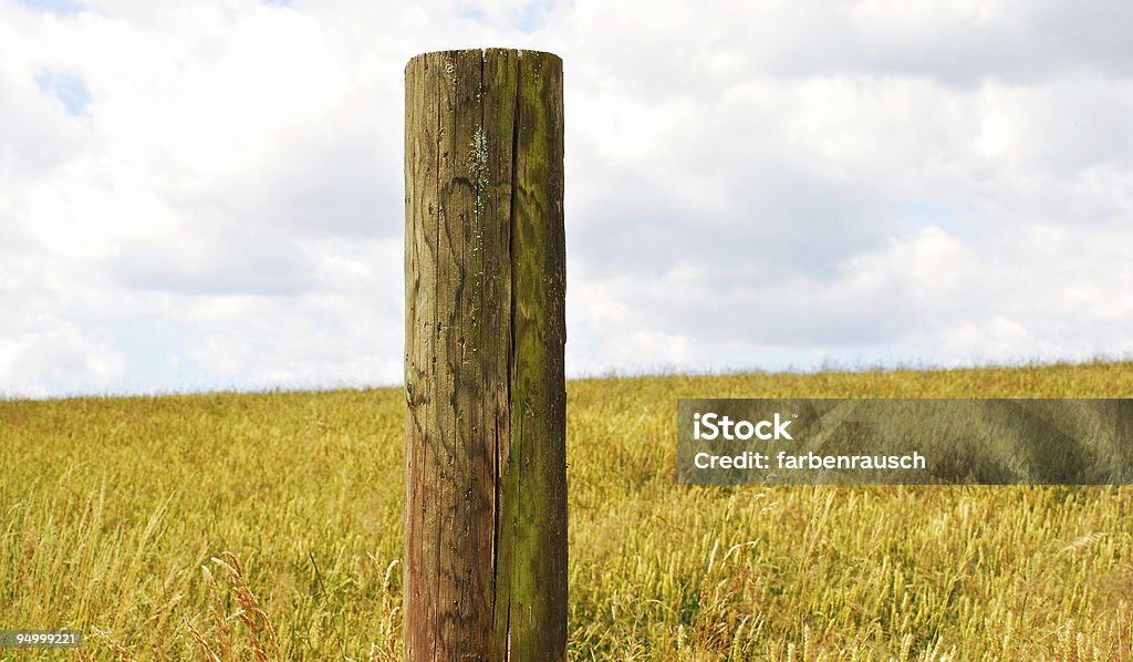 Поле в лето - Стоковые фото Деревянный столб роялти-фри