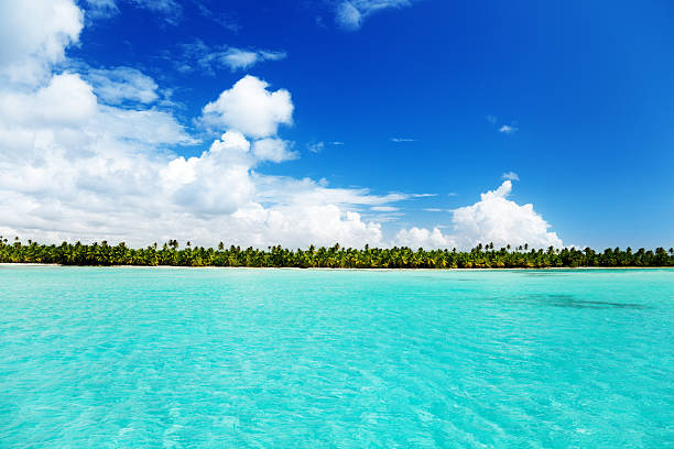 istock caribbean sea and palms 95000675