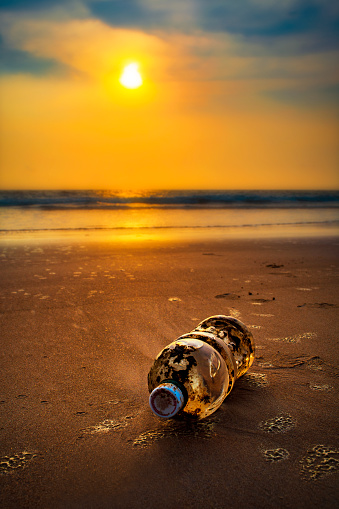 Plastic bottle on sea shore