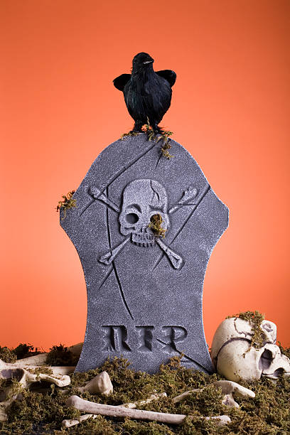 Halloween, graveyard with crow stock photo
