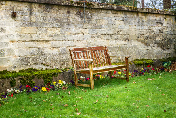 istock A bench surrounded by flowers in Spring in Oxford 950019678