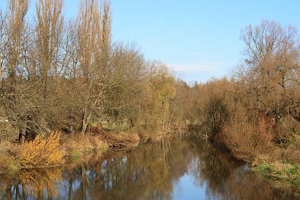 istock Radbuza River in autumn 95002545