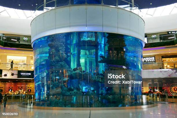 Acuario Grande En El Centro Comercial De Marruecos Casablanca Marruecos Foto de stock y más banco de imágenes de Centro comercial
