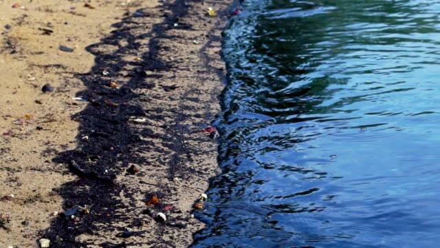Environmental Disaster: Oil Spill washing onto beach