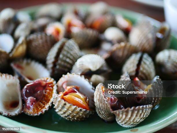 Conchas De Berberechos Frescos Foto de stock y más banco de imágenes de Playa - Playa, Almeja - Marisco, Berberecho