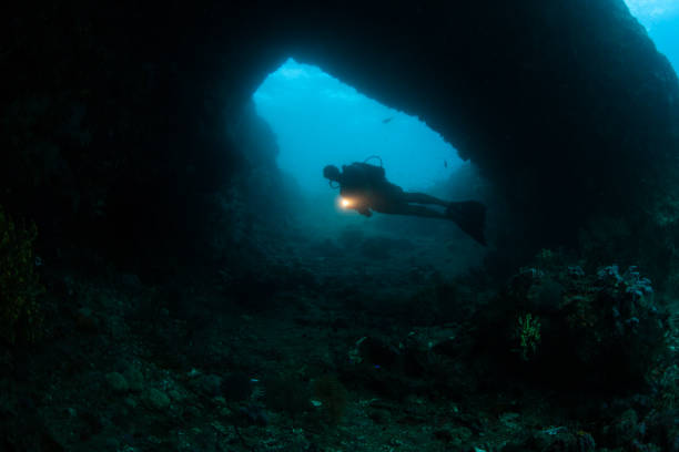 istock Scuba Diver and Deep Reef in Raja Ampat 950035938