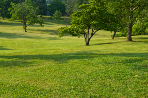 this color image is of Rolling Hills of Green Grass with Trees and green lawn. the photo is a nature landscape of a beautiful lawn during the spring or summer. and trees have green leaves. there are rolling hills and green grass in this picture. the lawn can be a front yard or backyard of someone's house or a park or country side of a beautiful scenic landscape. and the lighting is natural sunlight during the day. 