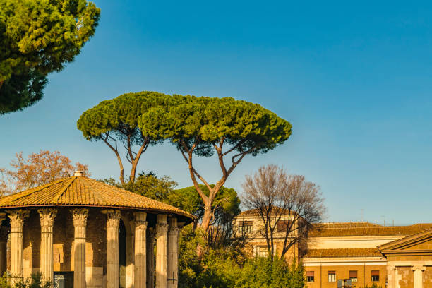 istock Hercules Temple, Rome, Italy 950040756