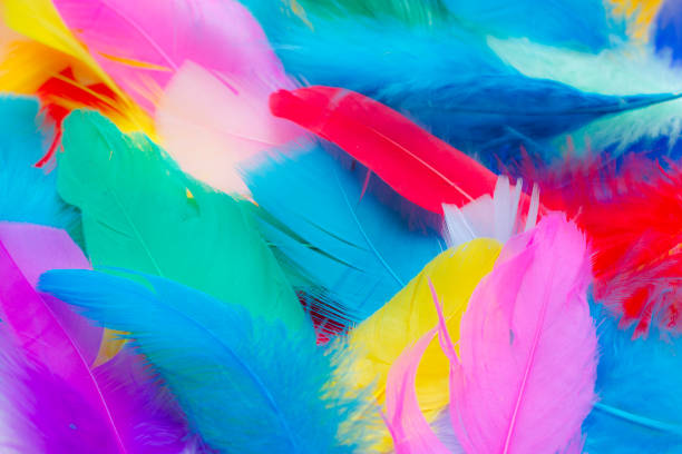 istock Close up to the bright colorful feathers background 950043932