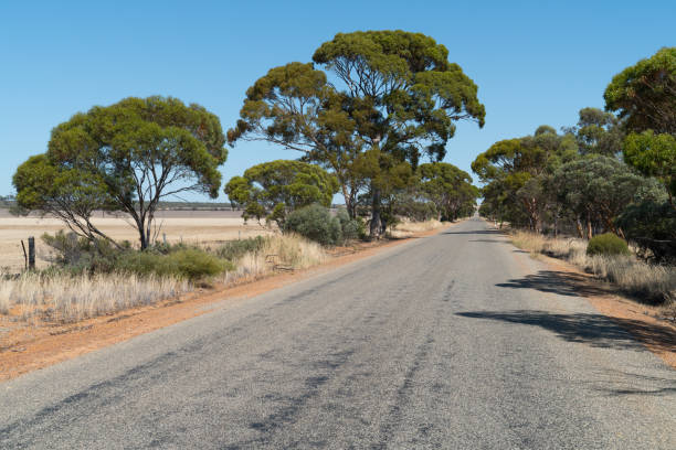 istock Outback of Western Australia 950044284