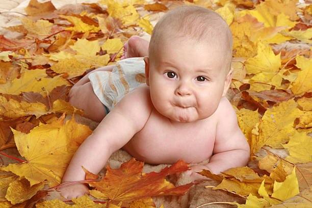 istock Beautiful child in autumn leaves 95004553