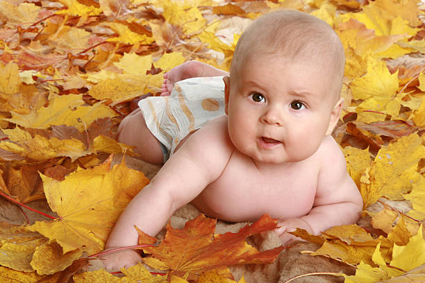 istock Beautiful child in autumn leaves 95004601