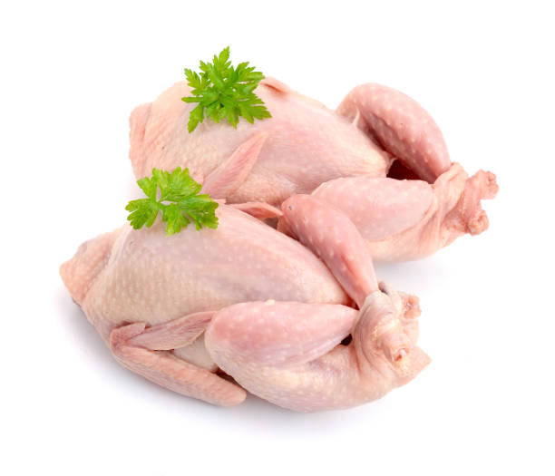 istock Quail meat. Isolated on white background. 950049320