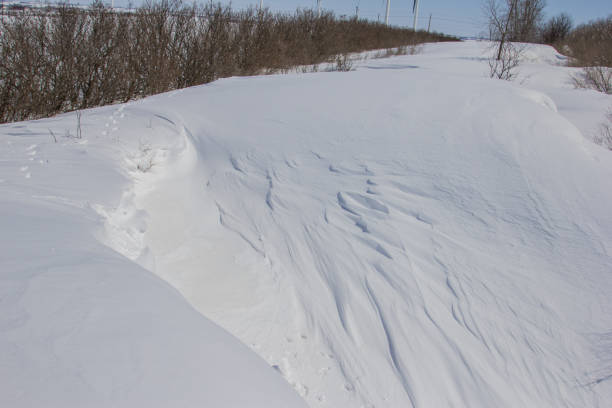 istock Full of Snow 950061510