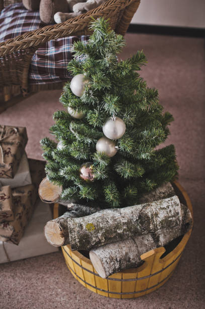 istock Composition with the little tree in the pelvis 4844. 950061798