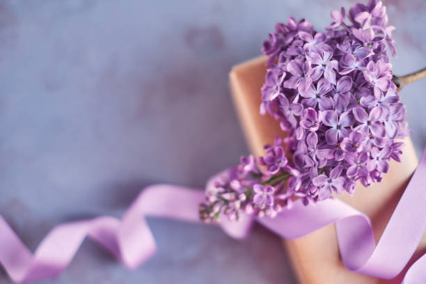 라일락 꽃과 포장된 선물와 어머니의 날에 대 한 합의 스톡 사진