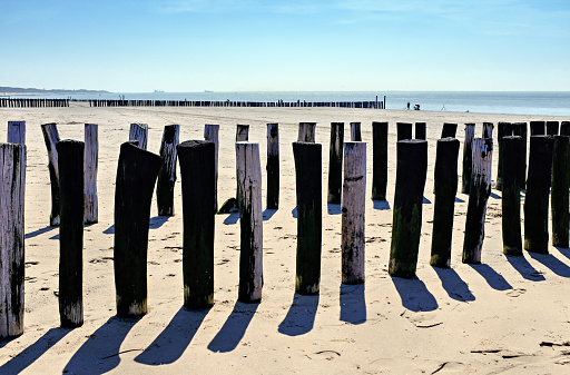 Beautiful North Sea beach with weathered wooden poles at low tide. Some incidental people.