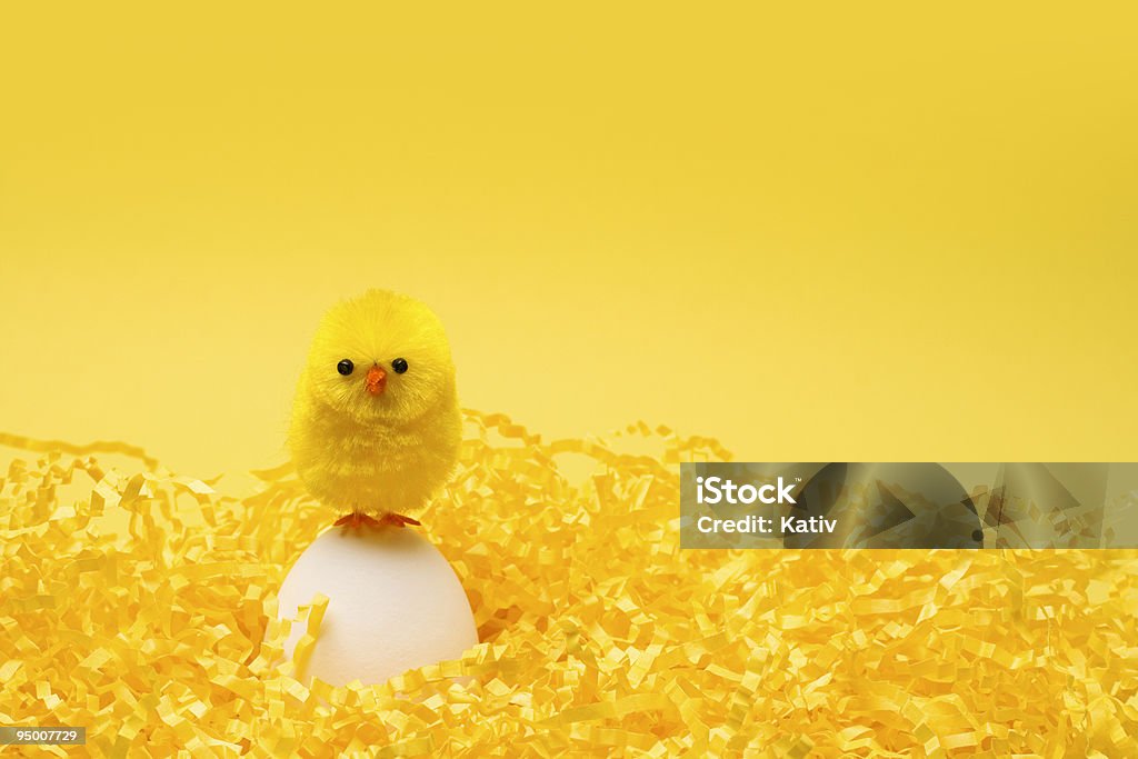 Chick de pascua - Foto de stock de Amarillo - Color libre de derechos