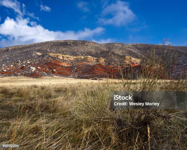 Red Mountain Open Space Stock Photo - Download Image Now - Autumn, Beauty In Nature, Bush