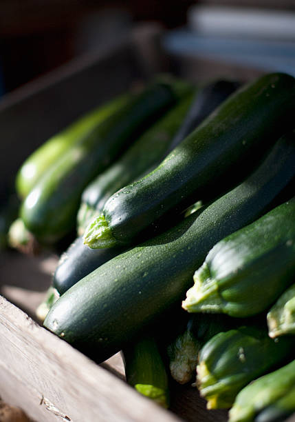 engradado de orgânico curgete - zucchini vegetable squash market imagens e fotografias de stock