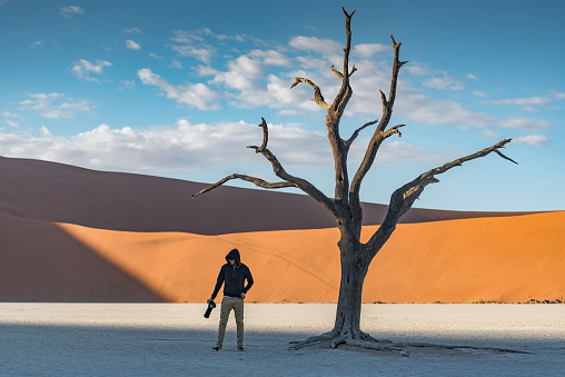 Young male photographer and traveler standing with dead tree in deadvlei (Sossusvlei) during sunrise, famous natural landmark in Namib desert of Namibia, Africa