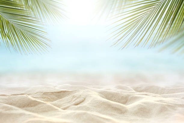 sand with blurred sea sky background, summer day Close up sand with blurred sea sky and plam leaf background, summer day, copy space or for product. coconut palm tree photos stock pictures, royalty-free photos & images