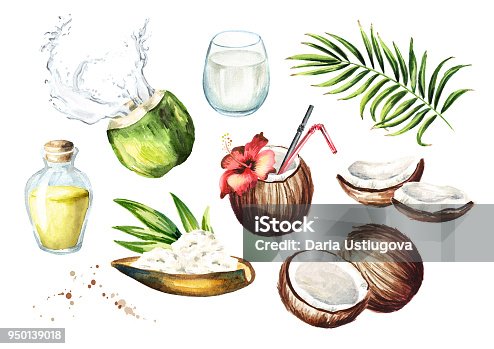 istock Coconut set. Watercolor hand drawn illustration,  isolated on white background 950139018