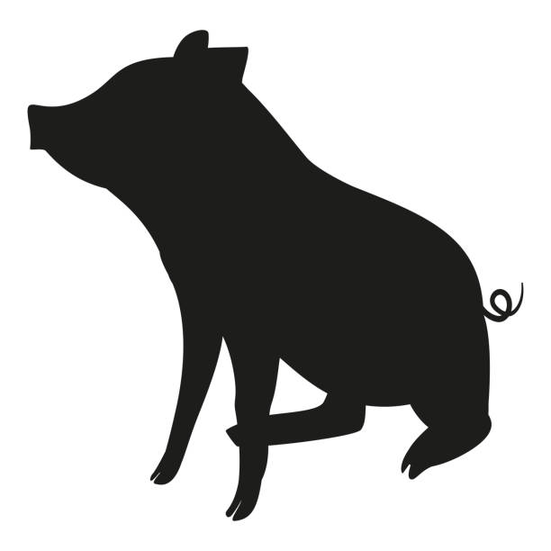 Black and white sitting pig silhouette Black and white sitting pig silhouette. 2019 year chinese symbol. Farm animal vector illustration for icon, sticker sign, patch, certificate badge, gift card, stamp symbol, label, poster, web banner pig silhouettes stock illustrations