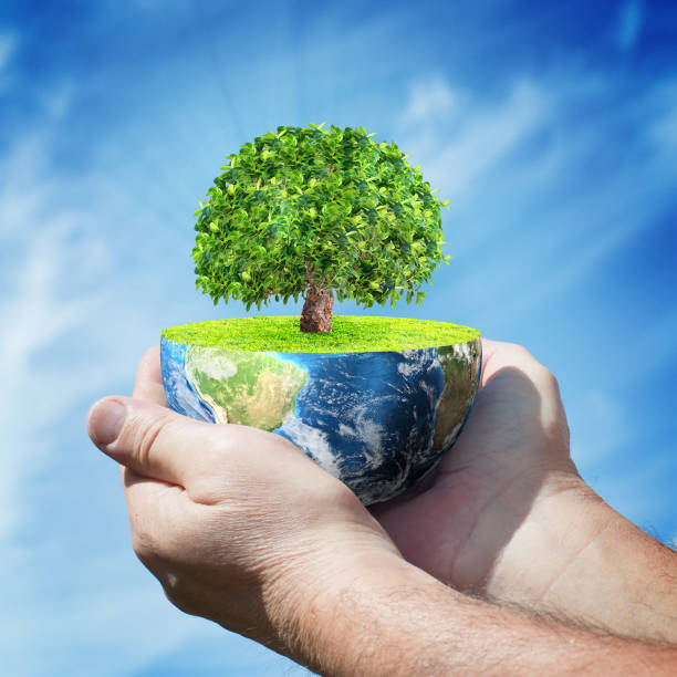 istock Planet Earth with tree in human hands against blue sky 950145328