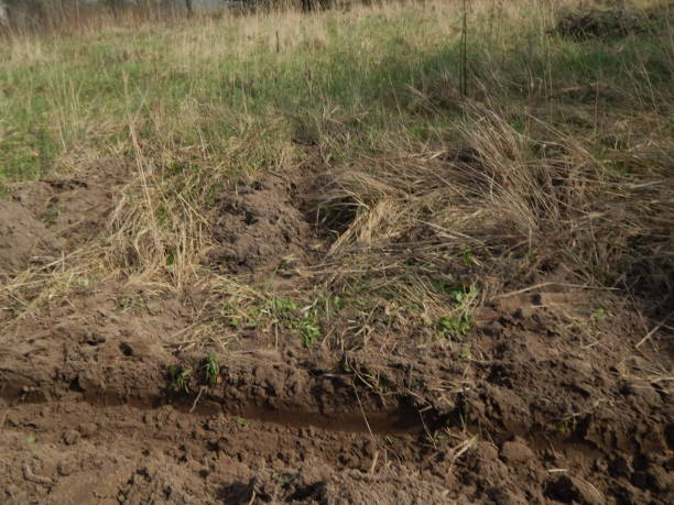 istock Texture of the land plowed by a plow field 950148482