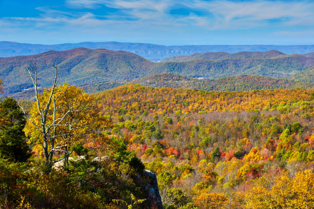 istock Fall Foliage in Shenandoah National Park, Virginia 950149234
