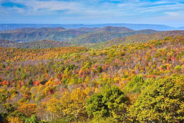 istock Autumn in Shenandoah 950149326