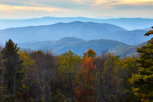 istock Late Afternoon View in Shenandoah National Park 950149562