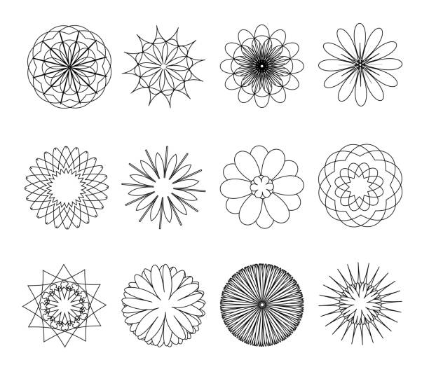 꽃의 집합입니다. 벡터 일러스트 레이 션 - hypotrochoid stock illustrations