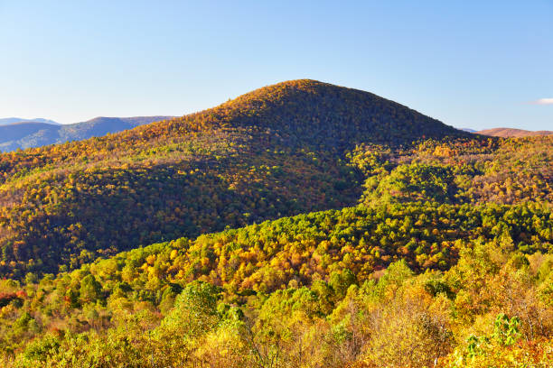 istock Autumn Scene along Skyline Drive in Virginia 950152596