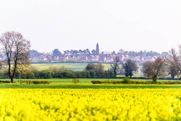 노 샘 프 턴 마을 경관의 새로운 duston 영국, 전경에서 카 놀라 필드와 영국 일 보기 - northamptonshire 뉴스 사진 이미지