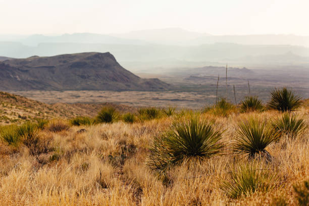 istock Sunset over the Chisos mountains with clouds and sky 950172028