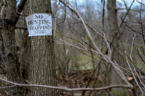 istock Springtime Peaks in Northeast Ohio 950172216