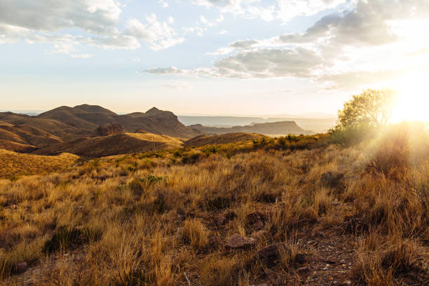 istock Sunset over the Chisos mountains with clouds and sky 950172808