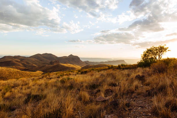 istock Sunset over the Chisos mountains with clouds and sky 950172840