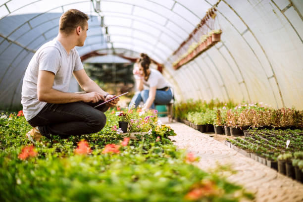 istock Can't Wait To Sell The Flowers, How About You? 950172844