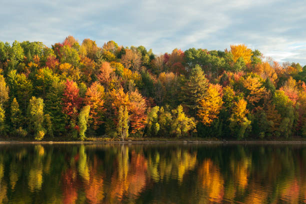 istock Fall colors at Waterbury Center State Park 950173104