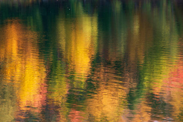 tranquil landscape
