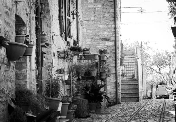 istock Plant vases hanging on the brick wall in Spello (Umbria, Italy) 950176496