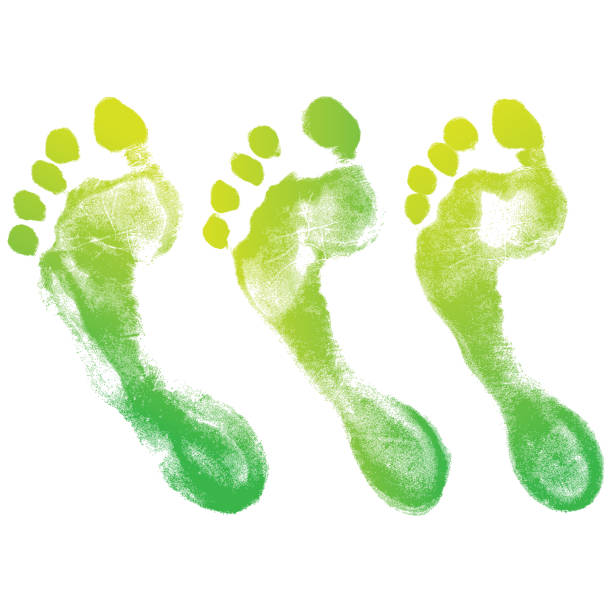 ilustrações de stock, clip art, desenhos animados e ícones de human green footprint set on white - footpath small green white