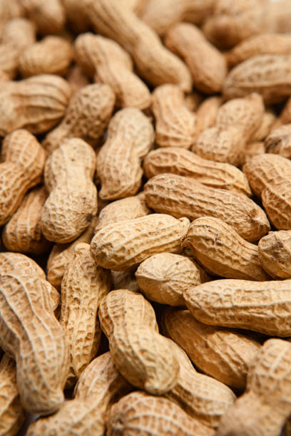 istock Heap of peanuts studio shot close-up 950183016