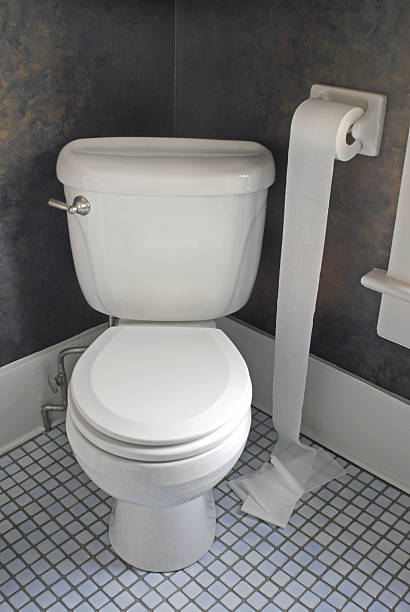 istock Toilet with  Paper on Floor 95018802