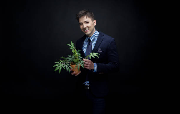 istock Well dressed businessman holding his marijuana plant 950190132