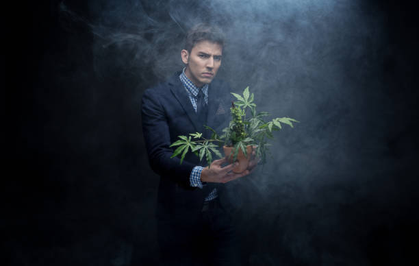 istock Well dressed businessman marijuana plant in dense smoke 950190388