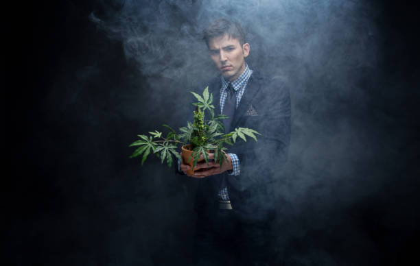 istock Well dressed businessman marijuana plant in dense smoke 950190422